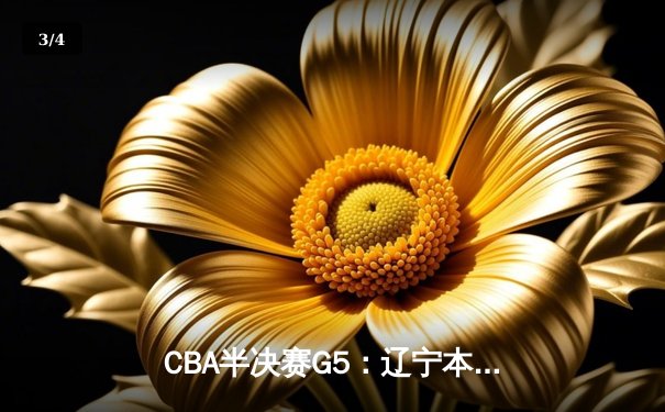 CBA半决赛G5：辽宁本钢加时逆转广东宏远 赵继伟33分率队挺进总决赛 - 3